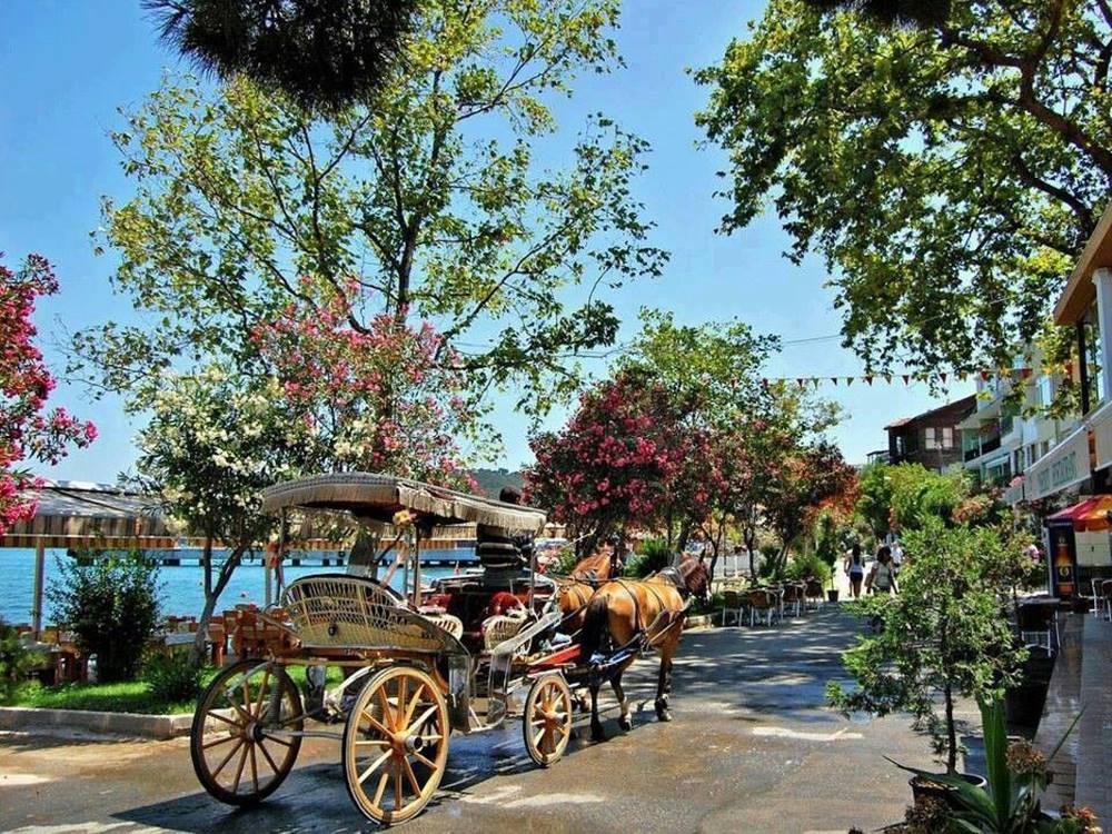Nezaclub Multi- city Turkey holiday (Diamond), July 2025