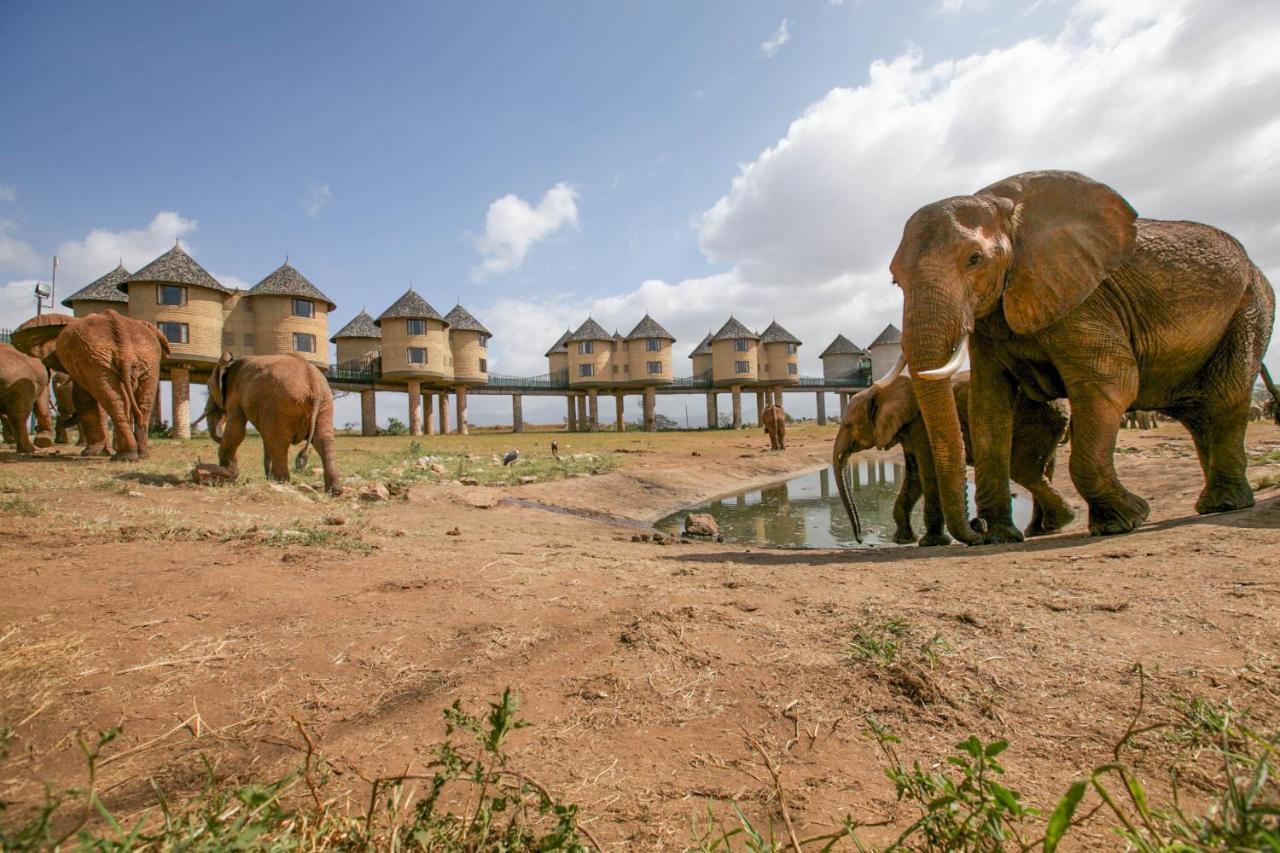 Nezaclub Nairobi & Tsavo National Park Safari Golden Experience, May 2025