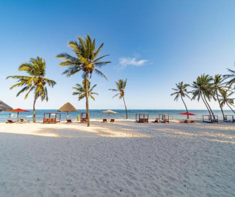 Exotic Mombasa Trip