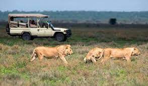 Unforgettable Murchison Falls Trip