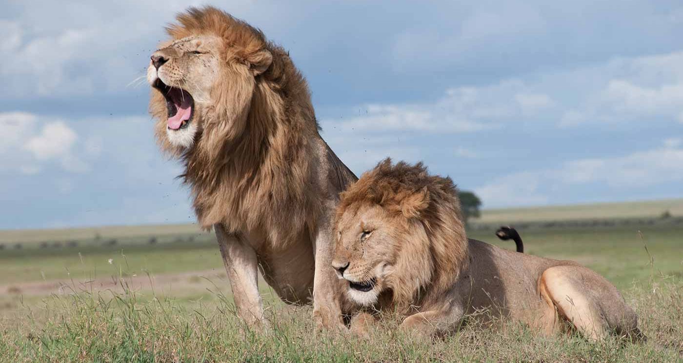 Adventurous Nairobi Trip