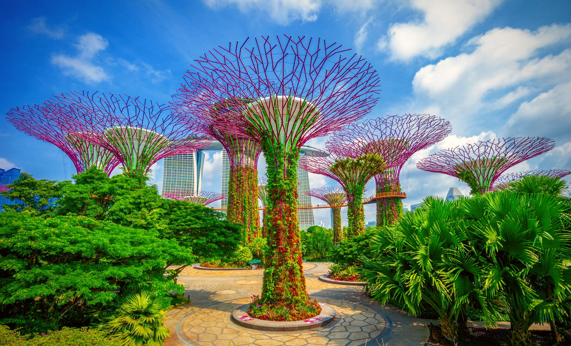 Mesmerizing Gardens by the bay Singapore