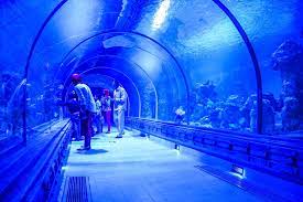 Hurghada Grand Aquarium tour