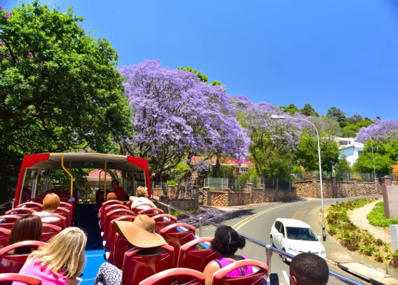 Johannesburg Golden  trip (25th Nov- 30th Nov, 2026)